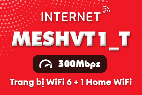 Gói cước MESHVT1T